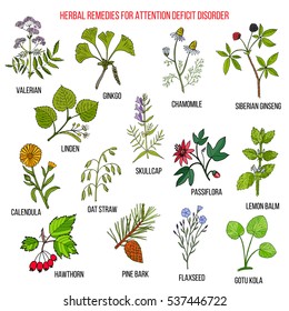 Collection of herbs for attention deficit disorder. Hand drawn botanical vector illustration