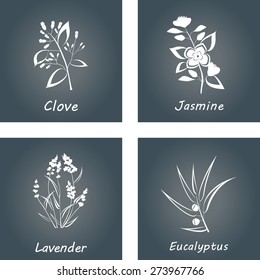 Collection of Herbs . Labels for Essential Oils and Natural Supplements. Lavender, Eucalyptus, Jasmine, Clove