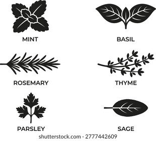 Collection of Herbs Mint, Basil, Rosemary, Thyme, Parsley, Sage