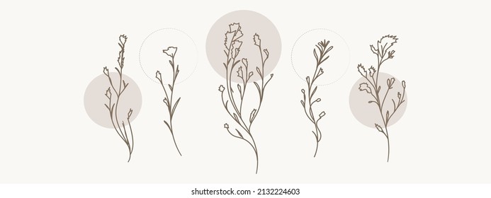 A collection of herbs in a modern linear style on a nude background. Herbal set. Banner.