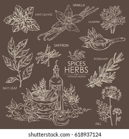 Collection Of Herbs And Spice: Vanilla, Mint, Bay Leaf, Cilantro, Dill, Saffron, Rosemary. Hand Drawn.