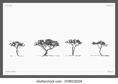 Collection of high detail hand drawn vector illustration of safari tree, realistic drawings of acacia silhouettes, sketch