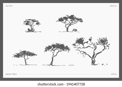 Collection of high detail hand drawn vector illustration of safari tree, realistic drawings of acacia silhouettes, sketch