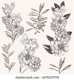 Collection of high detailed hand drawn flowers