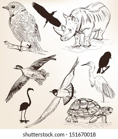 Collection  of high detailed vector animals for design