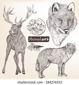   Collection  of high detailed vector animals for design