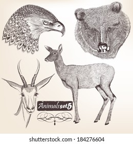 Collection  of high detailed vector animals for design