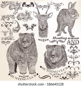 Collection  of high detailed vector animals for design