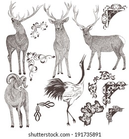 Collection  of high detailed vector animals for design