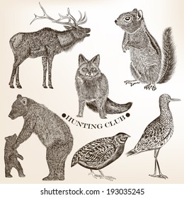 Collection  of high detailed vector animals for design