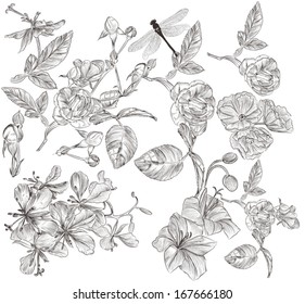 Collection  of high detailed vector flowers for design