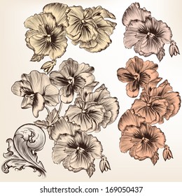Collection  of high detailed vector flowers for design