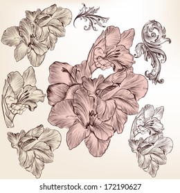 Collection  of high detailed vector flowers for design