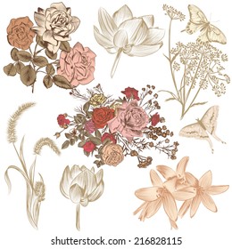 Collection of high detailed vector flowers for design