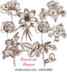 Collection of high detailed vector flowers for design