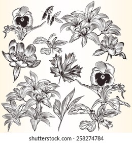 Collection of high detailed vector flowers for design