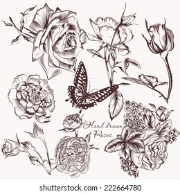 Collection of high detailed vector rose flowers for design