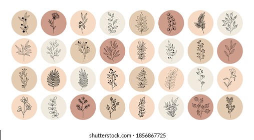 Collection of highlight story covers for social media. Vector set of nerd elements with circles of different colors on an isolated background. Tropical plants, leaves and branches with flowers. 