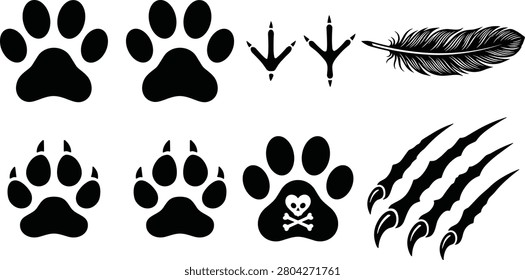 A collection of high-quality vector illustrations featuring various animal footprints, bird tracks, a detailed feather, and aggressive claw marks for graphic design projects.