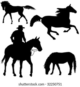 Collection of higly detalised horse silhouettes in different situations.