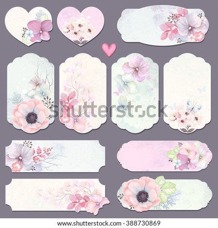Collection holidays labels with design elements, butterfly and flowers, vector illustration in vintage style on watercolor background.