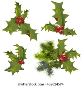 collection of holly branches with leaves and berries
