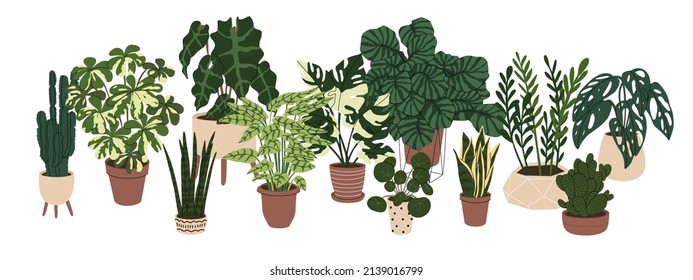 Collection home plants in the modern flowerpots. Beautiful composition with nature elements in the interior. Design for home and office. Hand drown. Flat style in vector illustration. 