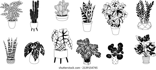 Collection home plants in the modern flowerpots. Beautiful composition with nature elements in the interior. Design for home and office. Hand drown. Flat style in vector illustration. 