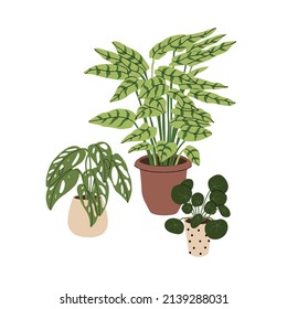 Collection home plants in the modern flowerpots. Beautiful composition with nature elements in the interior. Design for home and office. Hand drown. Flat style in vector illustration. 