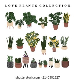 Collection home plants in the modern flowerpots. Beautiful composition with nature elements in the interior. Design for home and office. Hand drown. Flat style in vector illustration. 