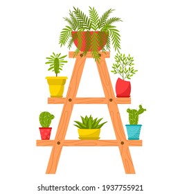 Collection of home plants in pots. Deciduous plants, succulents in flower pots. The plants stand on a flower stand. Cartoon flat style. Color vector illustrations isolated on a white background.