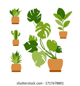 Collection home plants. Potted plants isolated on white. Vector set green tropical plants. Trendy home decor with indoor plants, planters, cacti, tropical leaves. Flat.