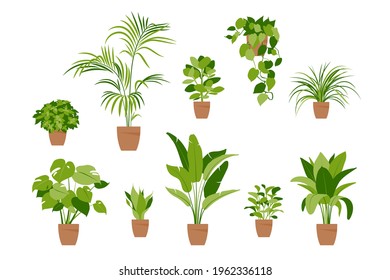 Collection home plants. Potted plants isolated on white. Vector set green plants. Trendy home decor with indoor plants, planters, tropical leaves. Flat.