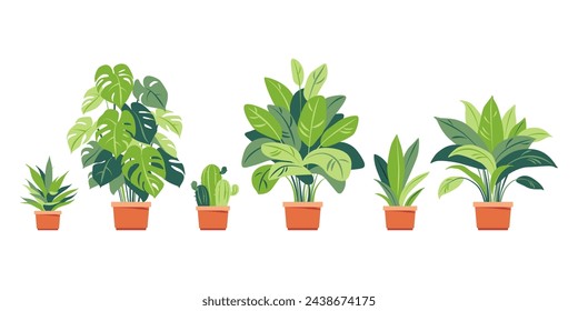 Colección de plantas caseras. Plantas en maceta aisladas en blanco. Conjunto de vectores de plantas verdes. Decoración casera de moda con plantas de interior, jardineras, hojas tropicales. Plano.