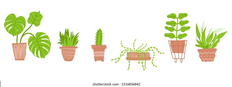 Collection of home plants. Tropical plants, cacti, succulents, monstera. Set of hand-drawn flowers.