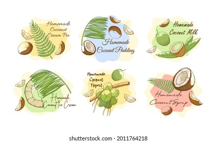 Collection homemade coconut preparation vector illustration hand drawn engraved. Set advertising labels with recipe for cooking natural vitamin fruit isolated on white. Dishes with tropical exotic nut