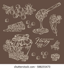 Collection of honey,  jar of honey,linden flower  and honeycomb with a bee. hand drawn