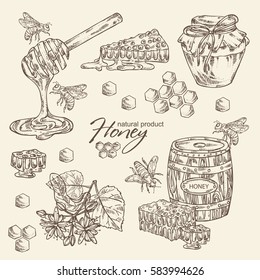 Collection of honey,  jar of honey, linden flower and honeycomb with a bee. hand drawn.