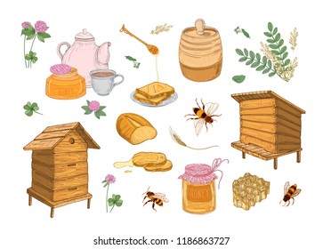 Collection of honey production, beekeeping or apiculture attributes - honeycomb, wooden beehives, dipper, bees, barrel hand drawn in vintage style on white background. Colorful vector illustration.