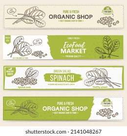 A collection of horizontal spinach banners-vector design 