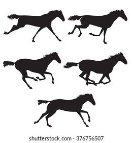 Collection of horse race, horse jump and horse run. Silhouettes of horses. Black horses on isolated background. Set of wild horses. Vector horse collection