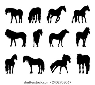 Collection of horse silhouettes, horse breeding . Vector illustration.	