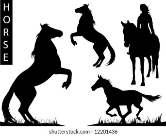 A collection of Horse silhouettes - Check out my portfolio for other collections.