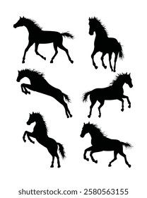 Collection of Horse Silhouettes in Various Dynamic and Graceful Poses