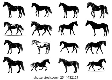 Collection of Horse Silhouettes in Various Poses and Movements