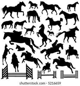 collection of horse vector