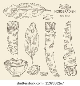 37+ Show me a picture of a horseradish ideas in 2021 