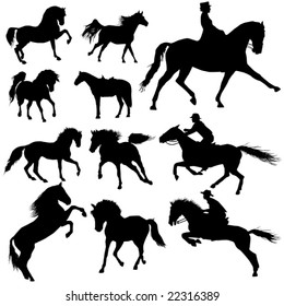Collection of horses part 4.