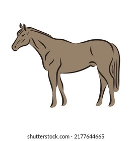 Collection of horses standing and moving vector flat illustration. Set of gorgeous groomed racehorses of different breeds isolated on white. Beautiful equine domestic animals silhouette for Equestrian