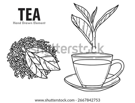 Collection of hot tea drinks, including cups, illustrated with tea leaves and dried tea for cafe menu design